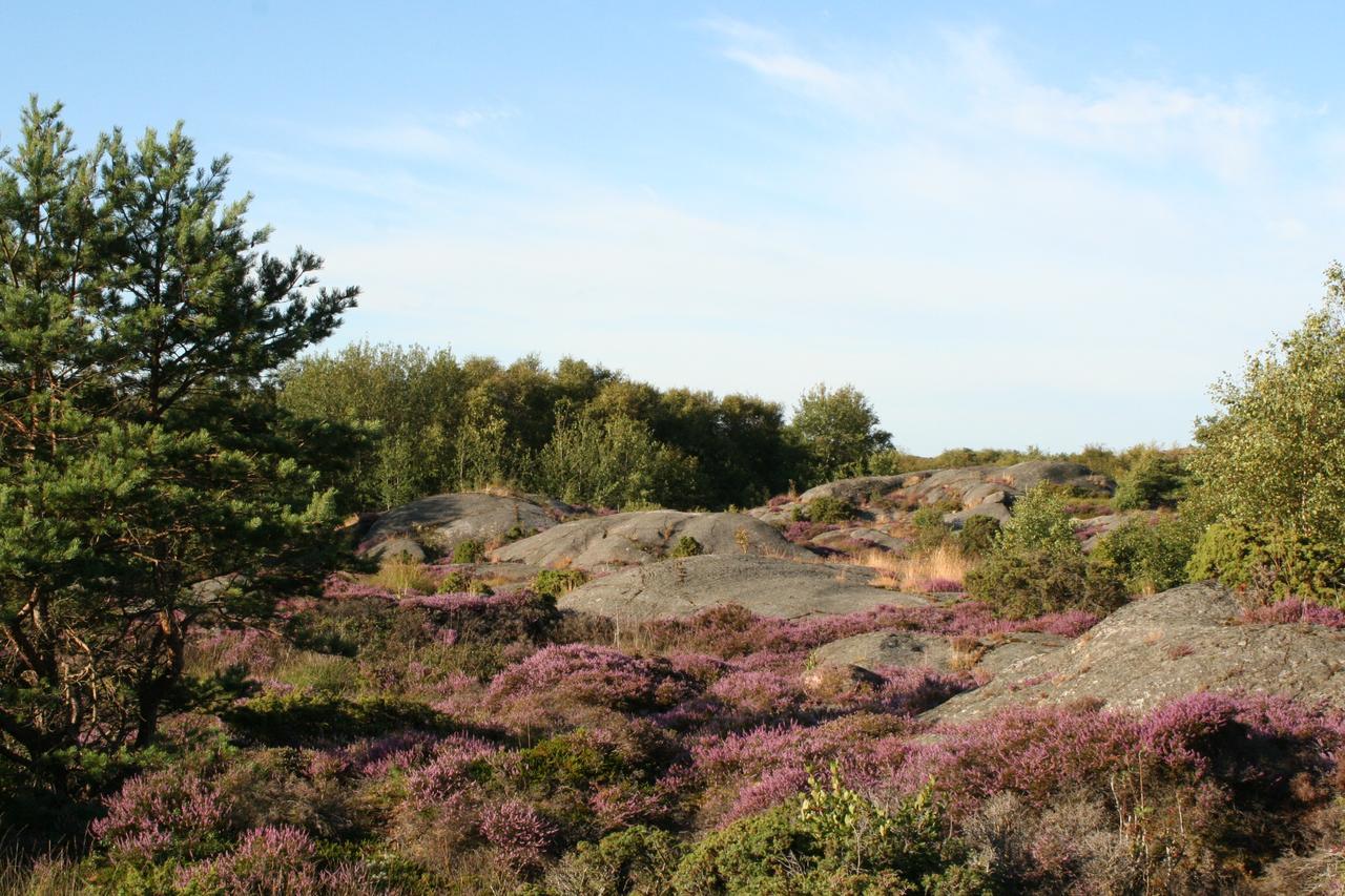 Tofta Gard Orust Ellos Zimmer foto